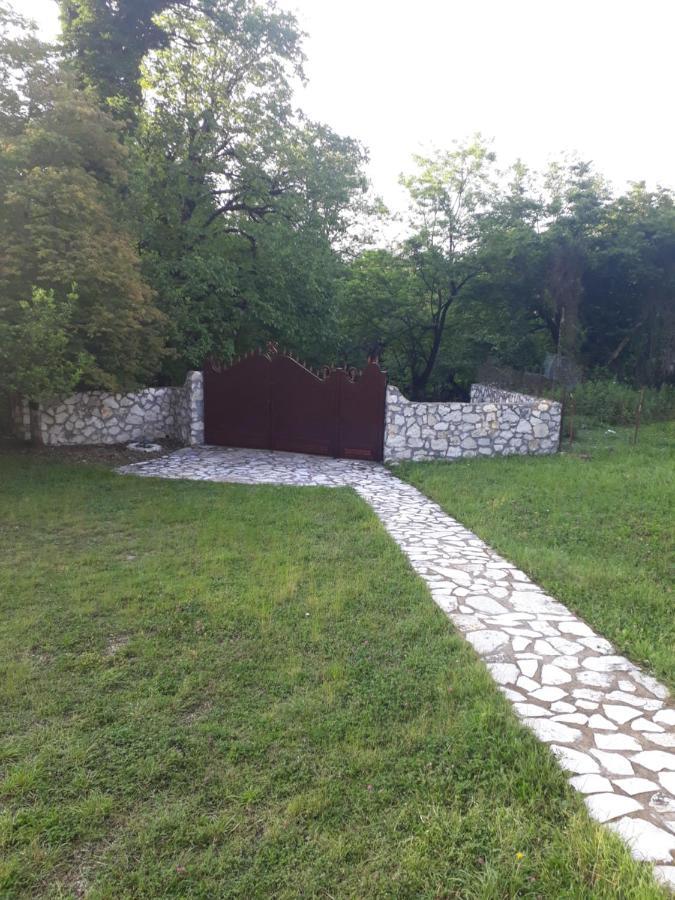 House At The Forest / Სახლი Ტყის Პირას Gordi Kültér fotó